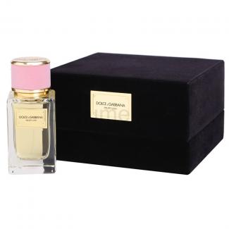 D&G Velvet Collection Love